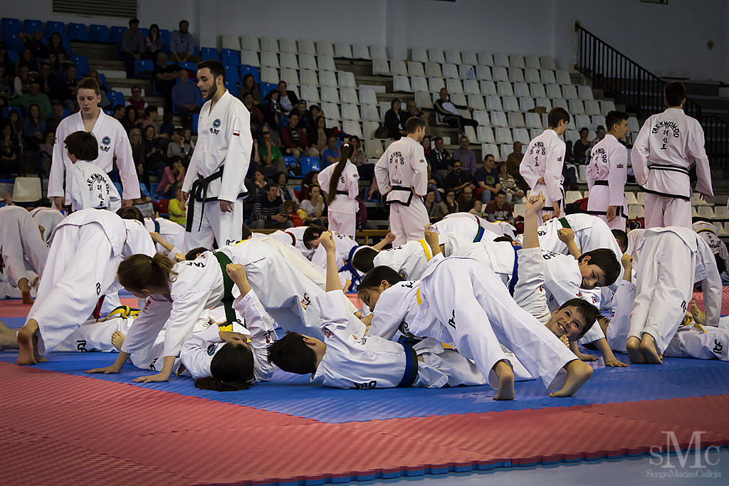 DIA DEL TAEKWONDO ABRIL 2017_3584.JPG